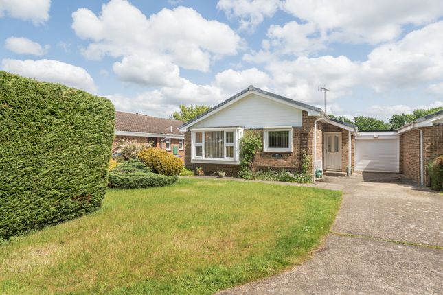 Thumbnail Bungalow for sale in Thursby Road, Woking