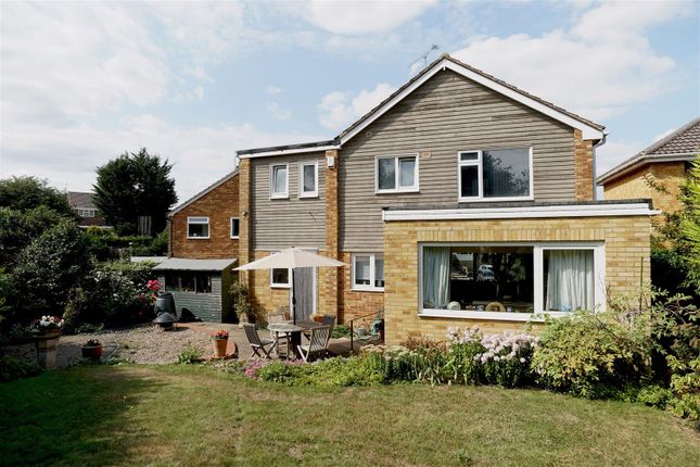 Back Of  House 1.Jpg