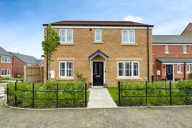Thumbnail Detached house for sale in Comfrey Drive, Morpeth