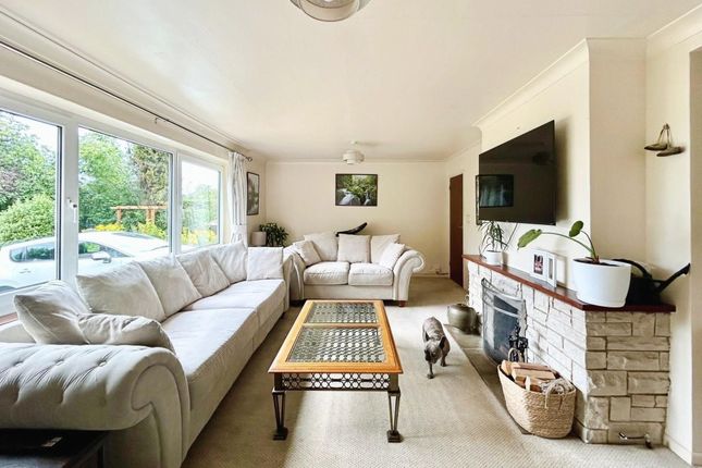 12 Beam Hollow, Farnham photo 3