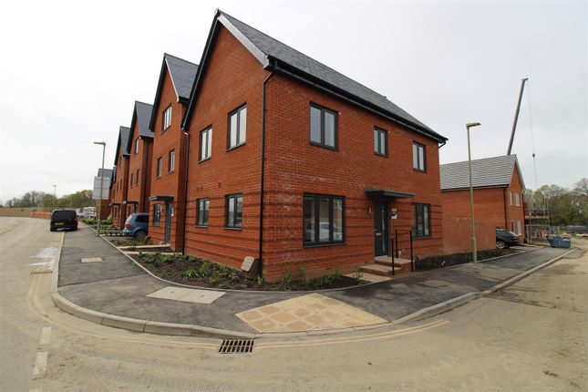 Thumbnail Detached house to rent in Ragged Robin Close, Southampton