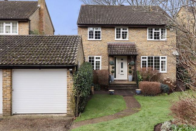 Thumbnail Detached house for sale in Sutherland Chase, Ascot