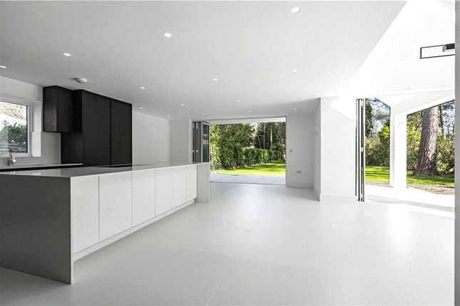 Reception/Kitchen