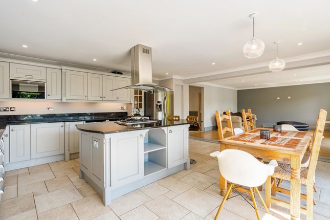 31, Ham Island, Windsor photo 4