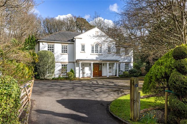 Thumbnail Detached house for sale in Hambledon Park, Hambledon, Godalming, Surrey