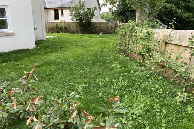 Garden 3.Jpg