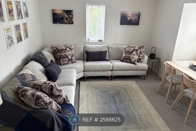 Great Chill Space