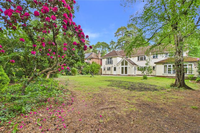 52, Brackendale Road, Surrey photo 2