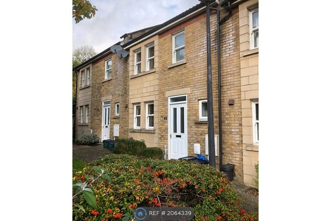 Thumbnail Terraced house to rent in Avondale Court, Bath