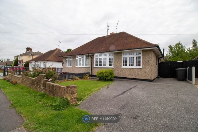 2 bed bungalow to rent in Baddow Hall Crescent, Chelmsford CM2