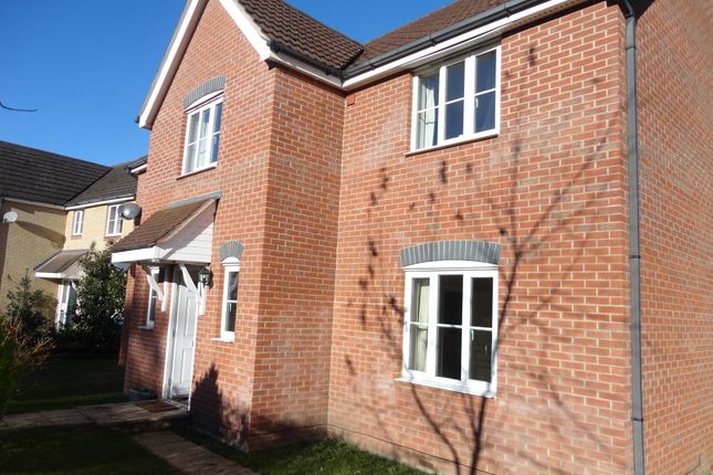 Detached house to rent in Brandon Road, Thetford