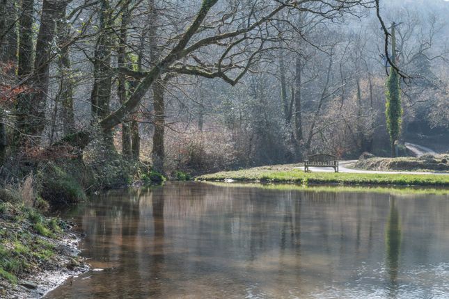 Fishing Pond
