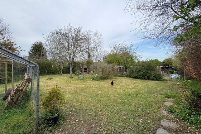 Brynseion, Tenby Road, Carmarthen photo 3