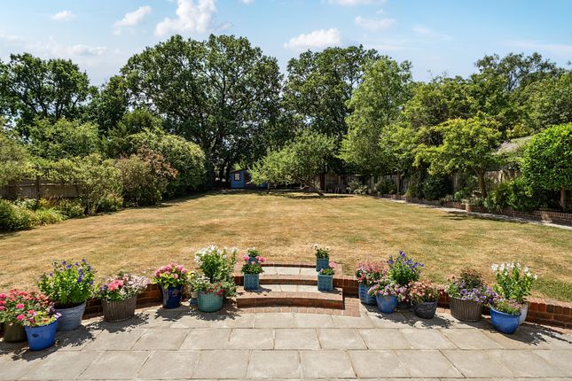 19, Christ Church Mount, Epsom photo 3