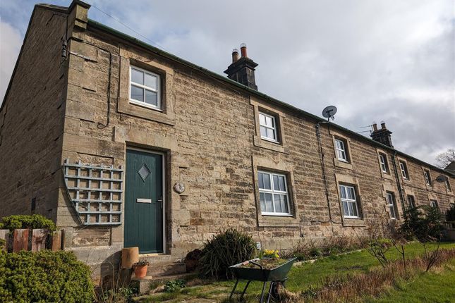 Terraced house to rent in Old Bewick Cottages, Alnwick, Northumberland NE66