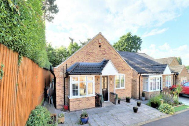 Thumbnail Bungalow to rent in Stenson Road, Derby