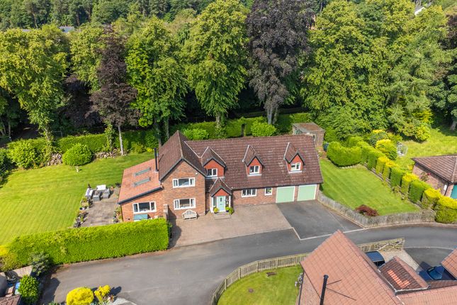 Thumbnail Detached house for sale in Beechcroft, Swarland, Northumberland.