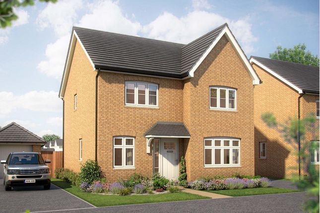 Thumbnail Detached house for sale in "The Aspen" at Peacock Drive, Sawtry, Huntingdon