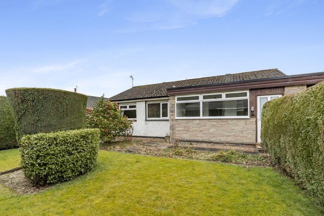 Thumbnail Detached bungalow for sale in Broomhill Place, Stirling
