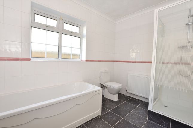 Downstairs Bathroom