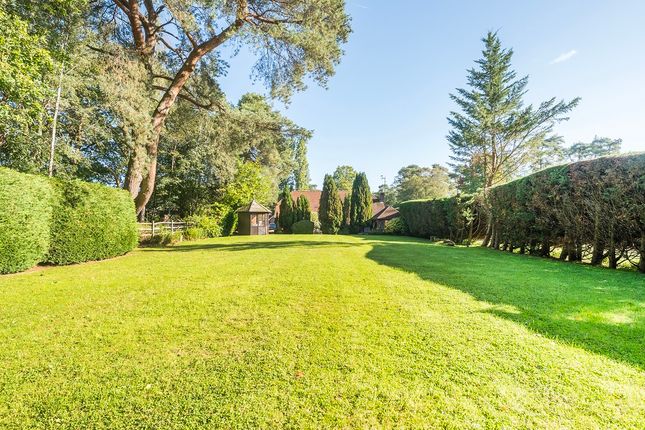 Acres End, Acres End, Finchampstead photo 2