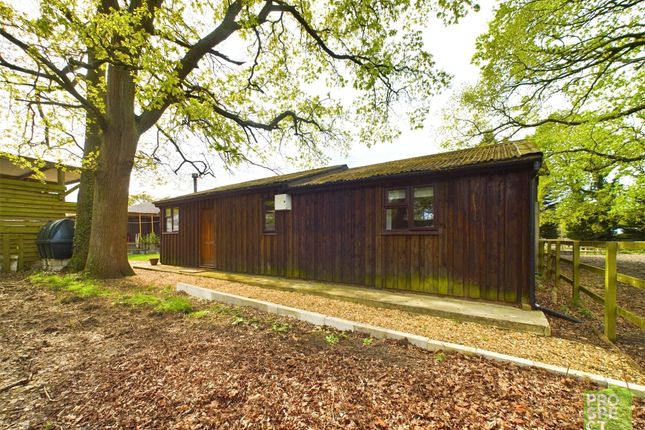 Bungalow to rent in Brookfield Farm, Bracknell Road, Warfield, Berkshire