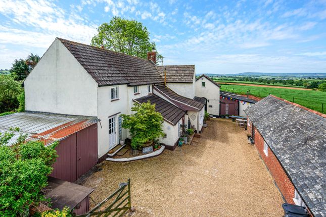 Thumbnail Detached house for sale in Woodbury, Exeter