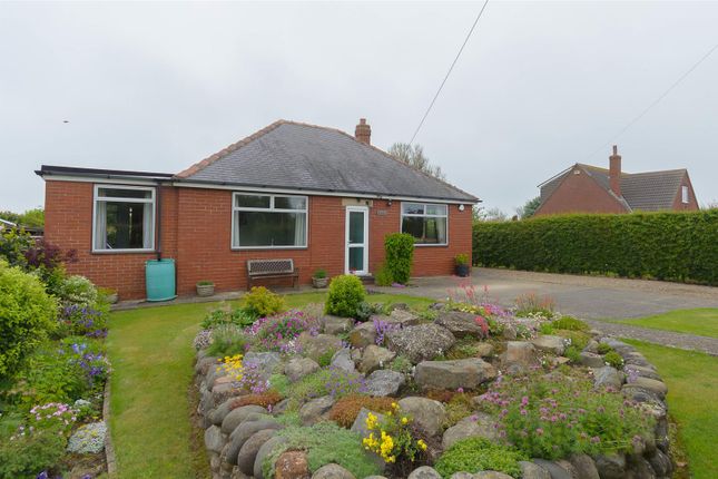 Thumbnail Detached bungalow for sale in Holmpton Road, Hollym, Withernsea
