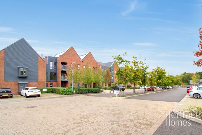 39 Daisy Hill Court, Norwich photo 2