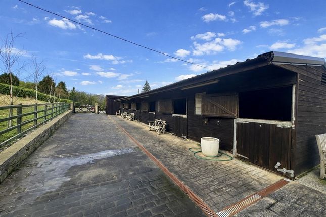 Chew Valley Stables, Glossop photo 3