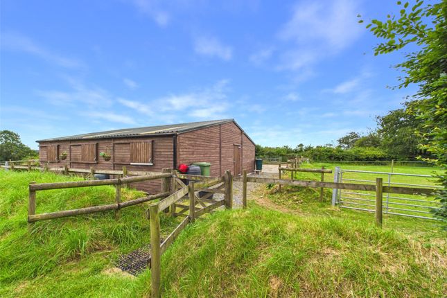 Tolley Farm,, Halwill, Devon photo 2