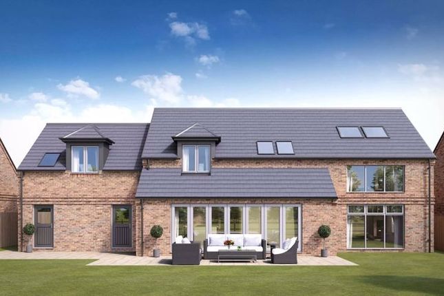 The Currack, How Beck, Northallerton photo 2