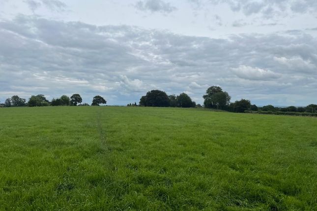 Thumbnail Land for sale in Sontley, Wrexham