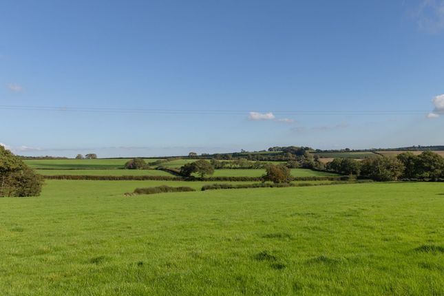 Land at Higher Troswell - 44.53 acres, Troswell, Launceston photo 2