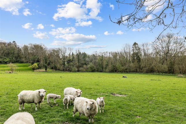 White Rose Farm, Hextalls Lane, Bletchingley photo 4