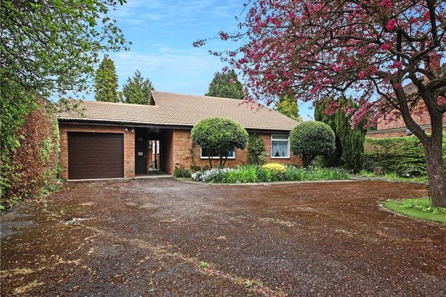Thumbnail Bungalow for sale in Coppice Avenue, Great Shelford, Cambridge