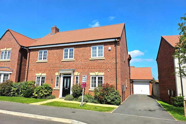 Thumbnail Detached house for sale in Mint Grove, Mickleover, Derby