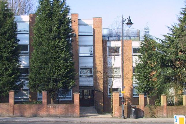 Edward Ct.Jpg