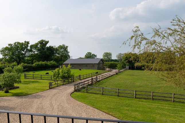 View From Annexe