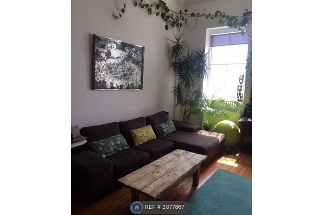 Brighton photo 5