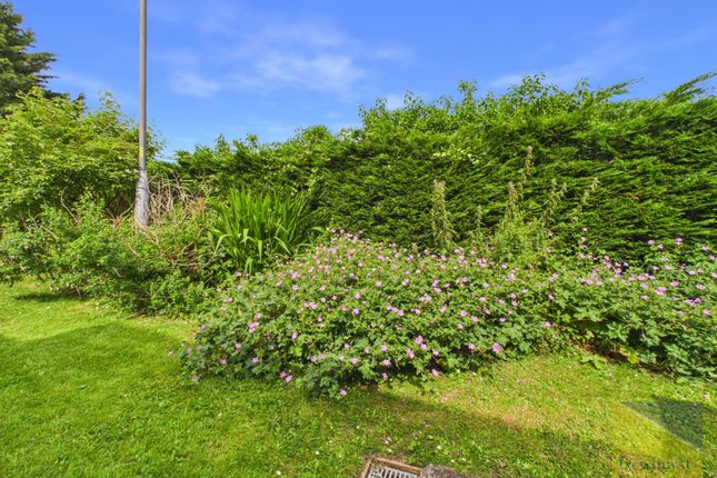 39, Maple Road, Preston photo 3