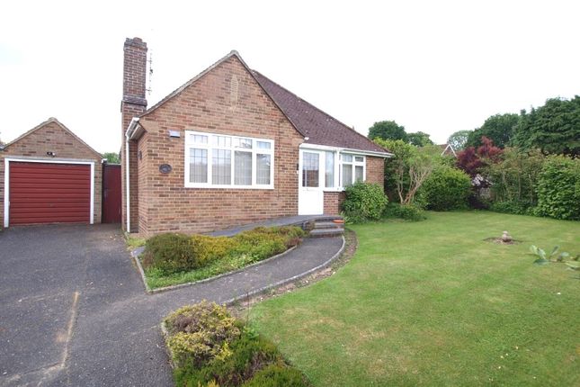 Thumbnail Detached bungalow for sale in Brightling Road, Polegate