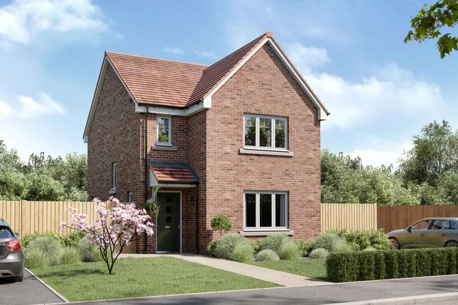 Thumbnail Detached house for sale in "The Elgin" at Grosset Place, Glenrothes