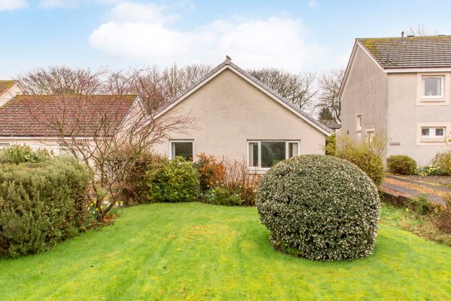 Thumbnail Detached bungalow for sale in Ruthven Place, St Andrews