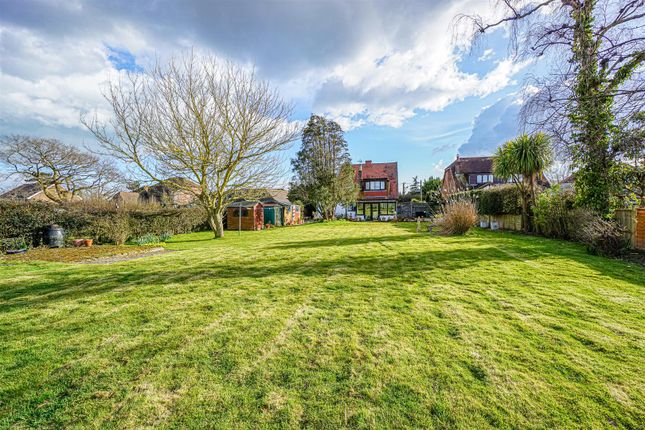 Place Cottage, Main Road, Winchelsea photo 3
