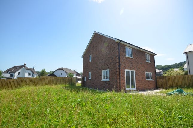 41, Dolymeillion, Llanilar photo 4