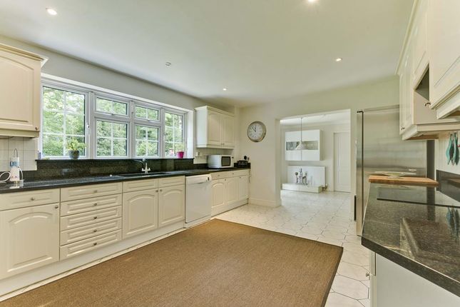 Detached house to rent in Pine Walk, Cobham