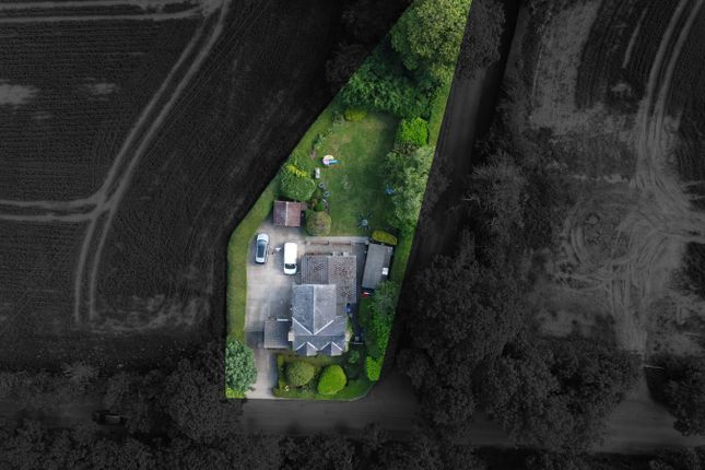 The Lodge, Tytton Lane East, Boston photo 2