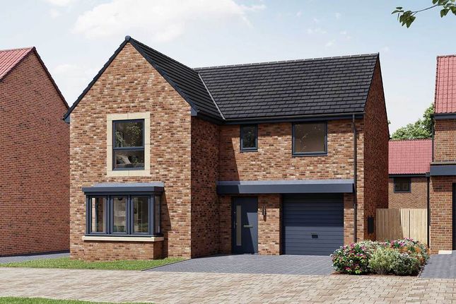 Thumbnail Detached house for sale in "The Grainger" at Alan Peacock Way, Middlesbrough