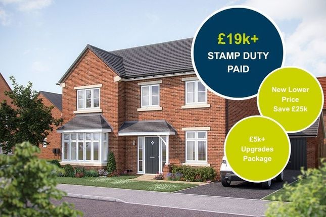 66 Maple Greenwell Park